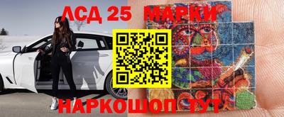 мяу мяу мука Будённовск