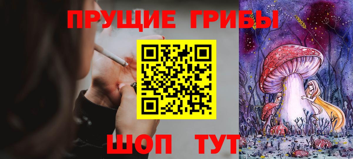 Конаково  Псилоцибиновые грибы GOLDEN TEACHER  Вход с VPN  Псилоцибиновые грибы мухоморы 